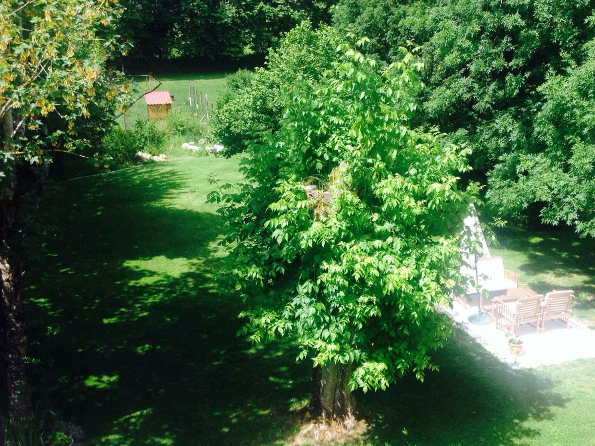 Bed and Breakfast Le Fagnard Chalais  Экстерьер фото